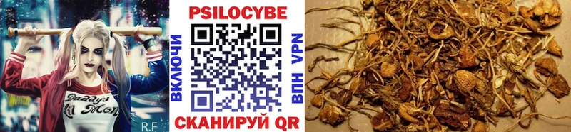 Псилоцибиновые грибы мухоморы  Порхов 
